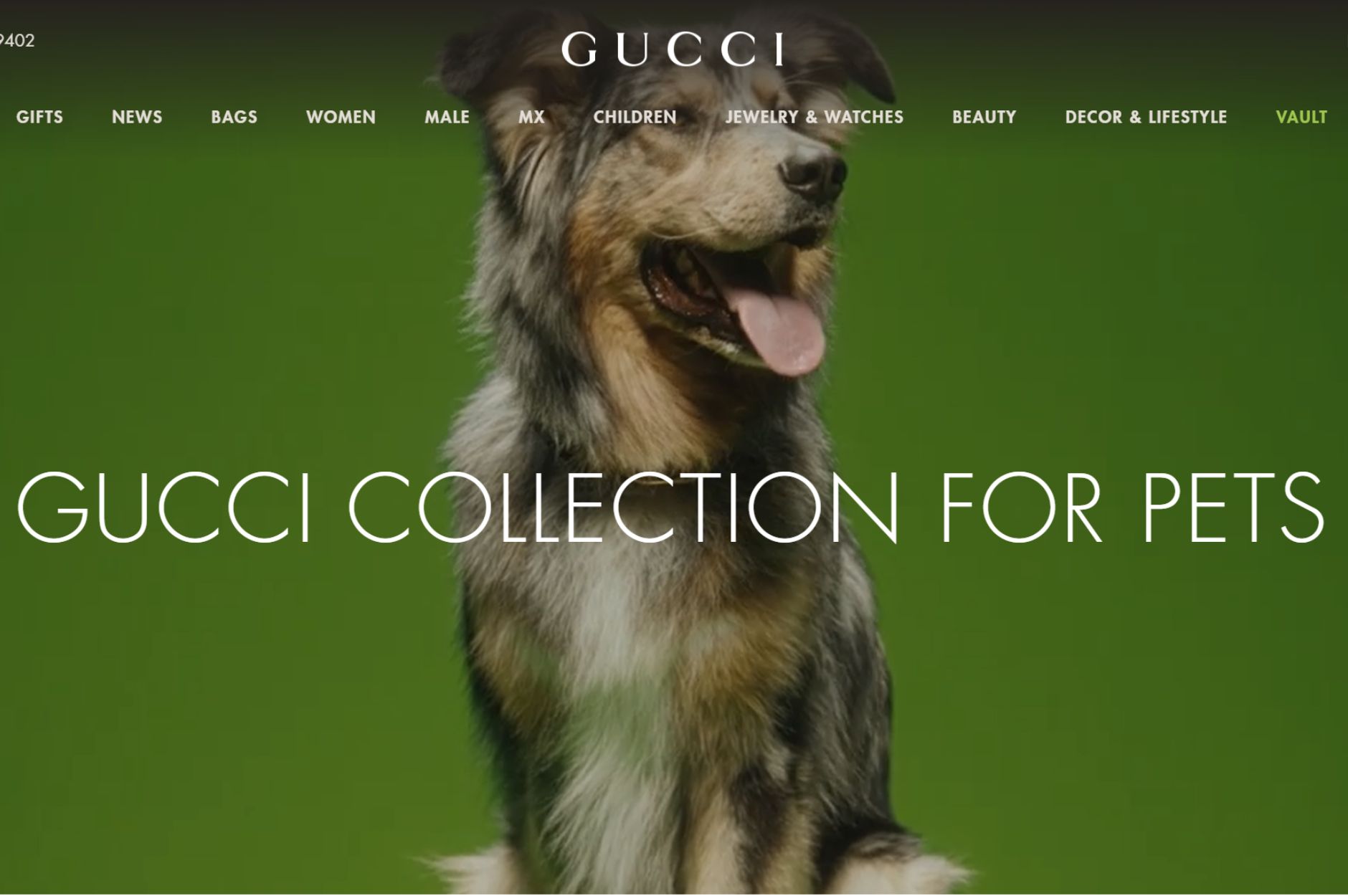 Gucci Pet Collection Campaign Dog Cat Photos